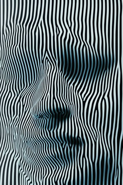 Optical Zebra Stripes Abstract Poster. poster print