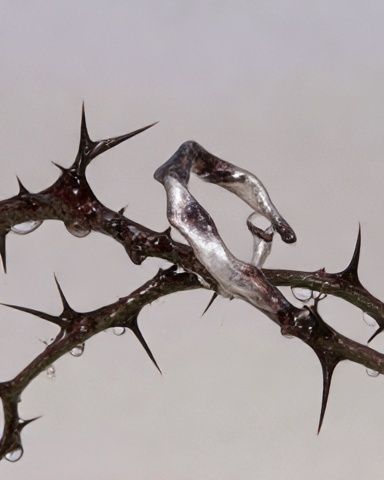 Thorny Branches Abstract Print. poster — abstract art