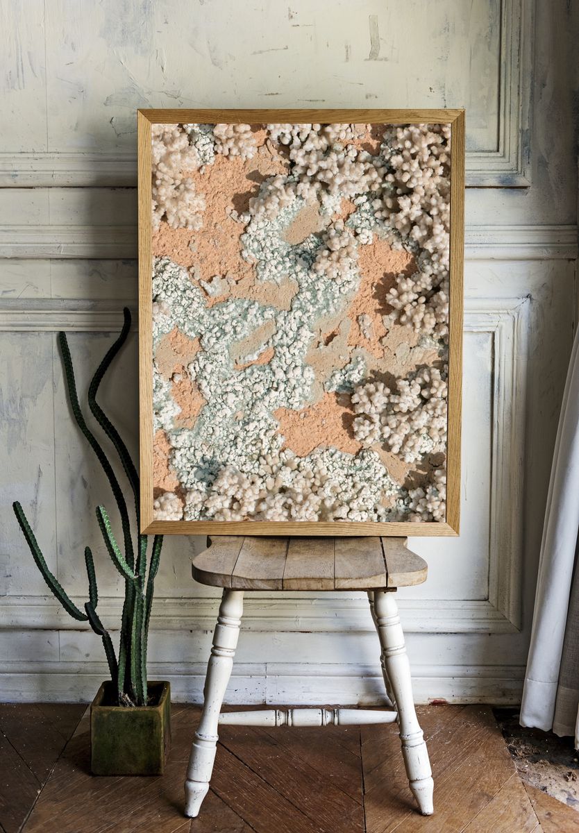 Coral Texture Abstract Print. — room view 1