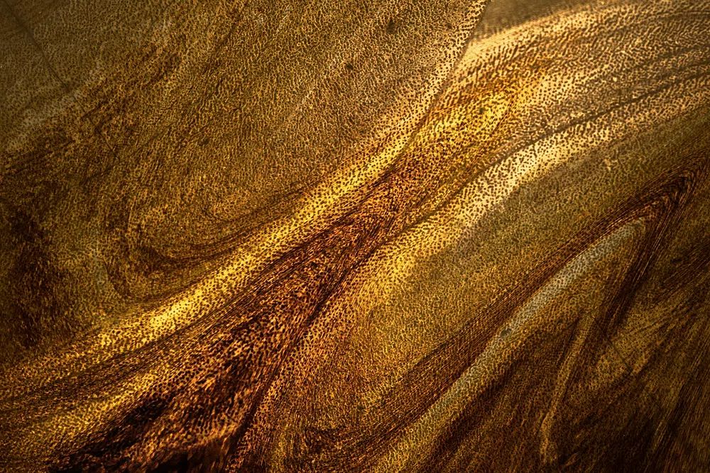 Dark gold paint textured background. poster — abstract art