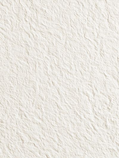 Textured Paper Surface Print. poster