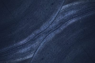 Blue rough concrete wall background. poster print
