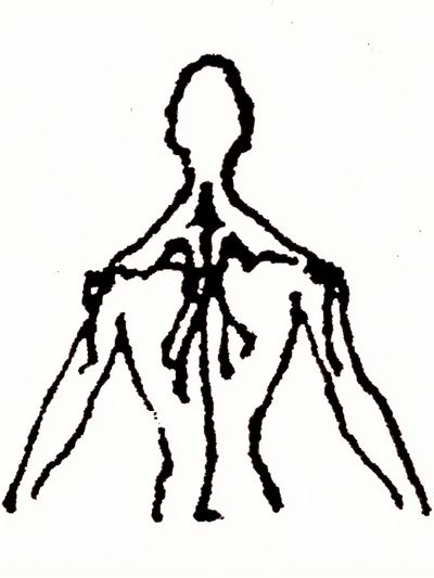 Abstract Human Figure Line Art Poster. poster