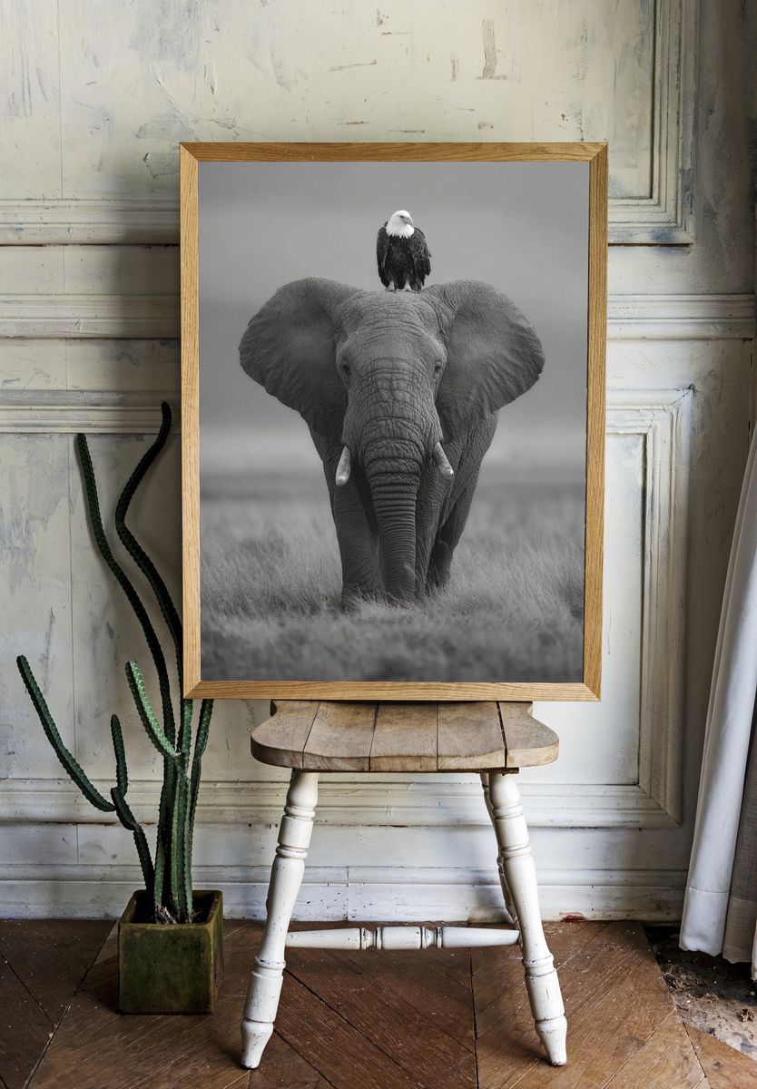 Elephant and Eagle — Black-White Print room preview