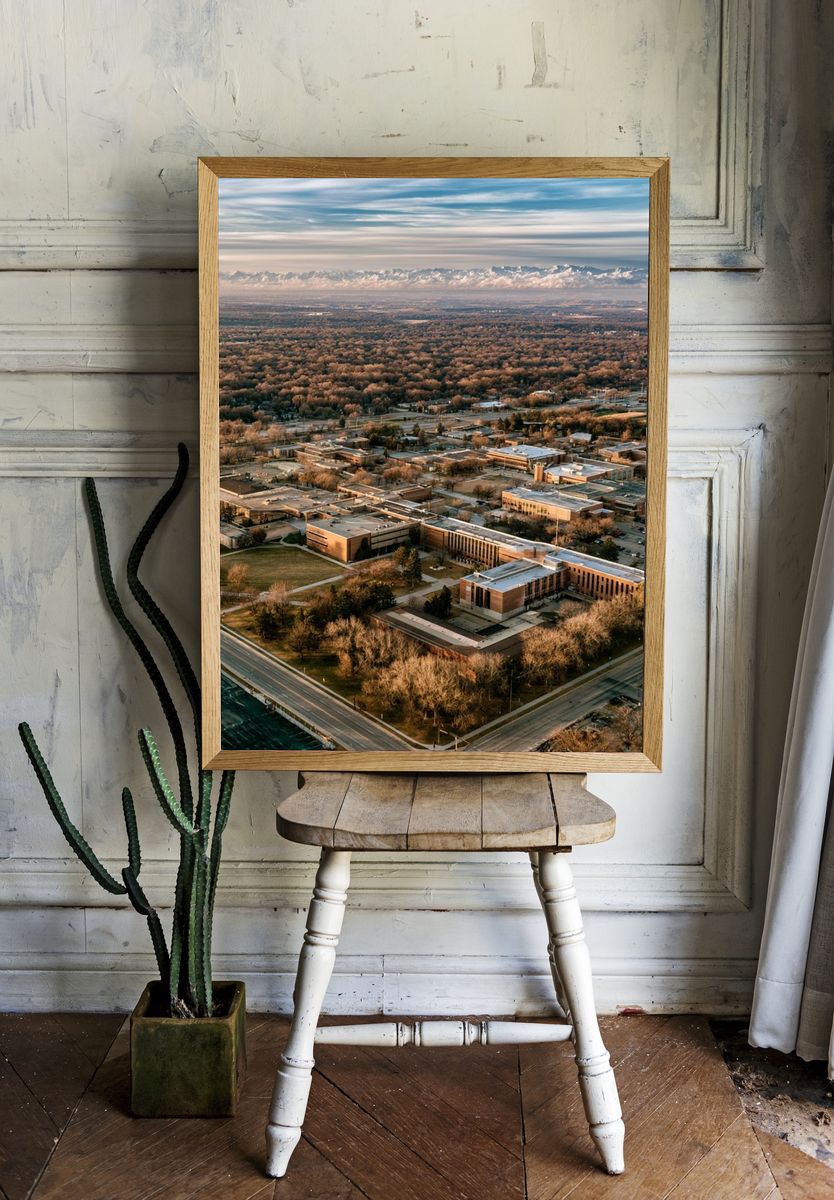 Aerial Campus Landscape Poster. — room view 1