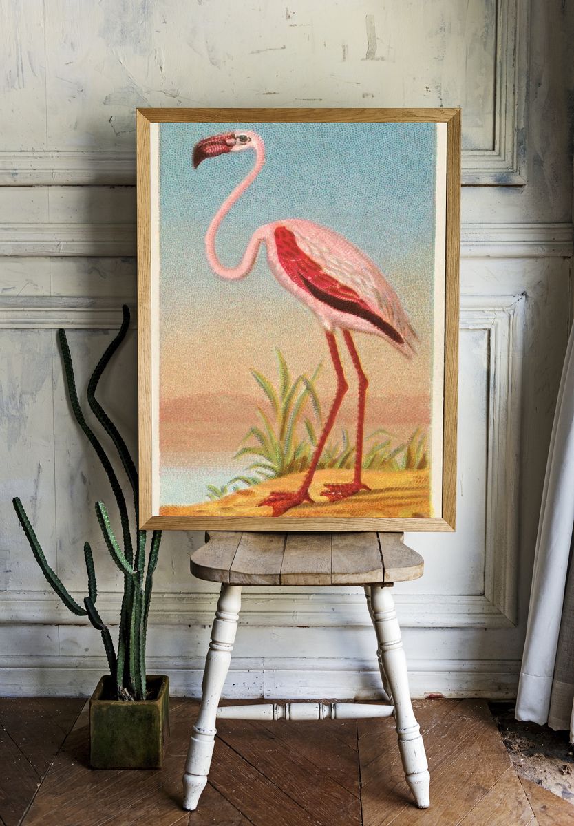 African Flamingo — Vintage Print room preview