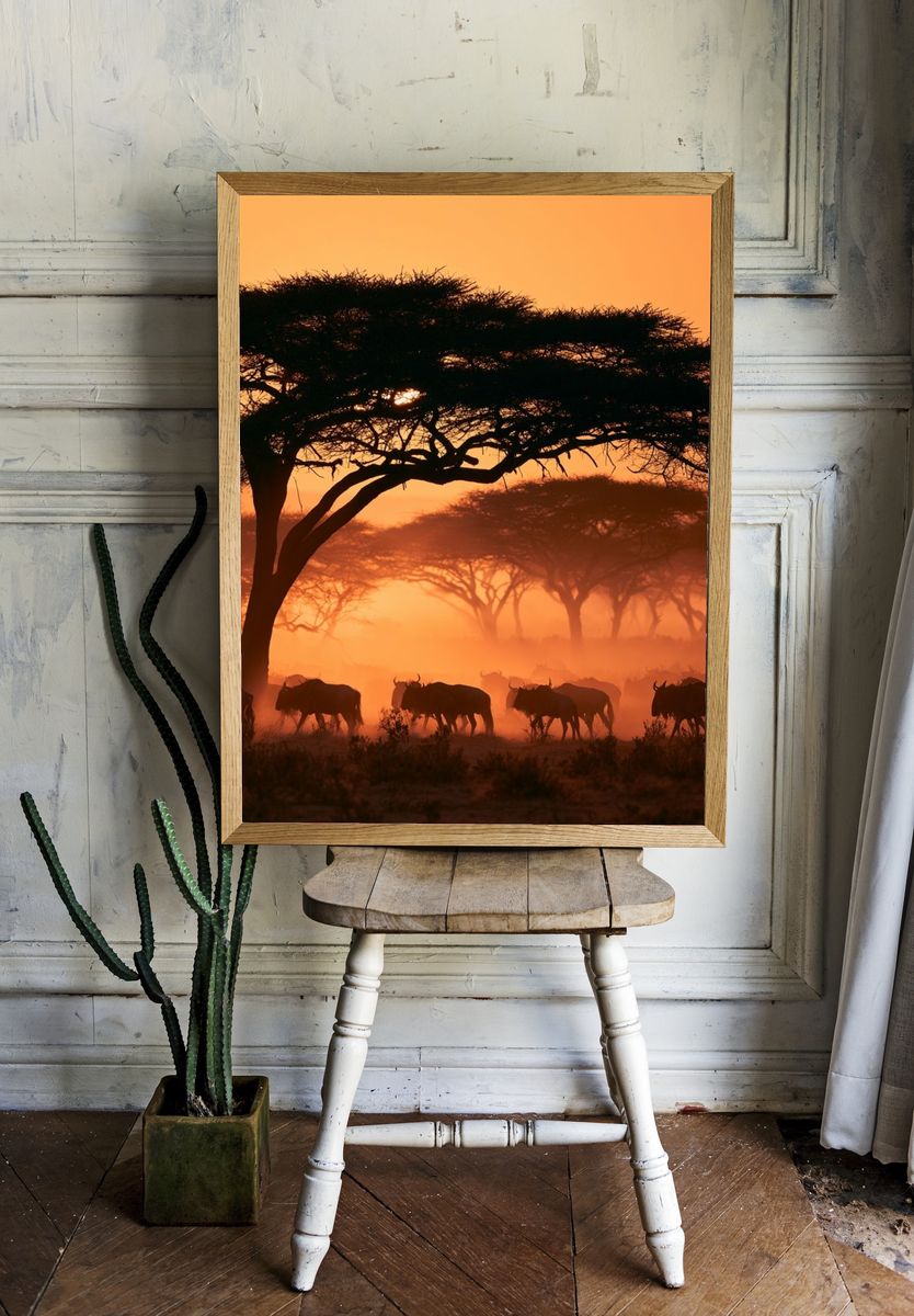 African Savannah Sunset Photography Poster. — room view 1