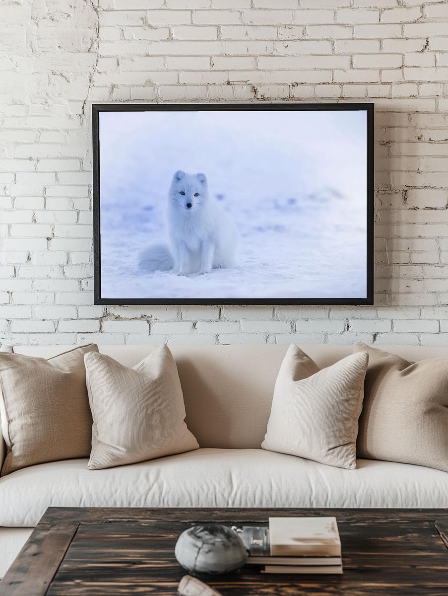 Arctic Fox in Snow — Photography Print room preview