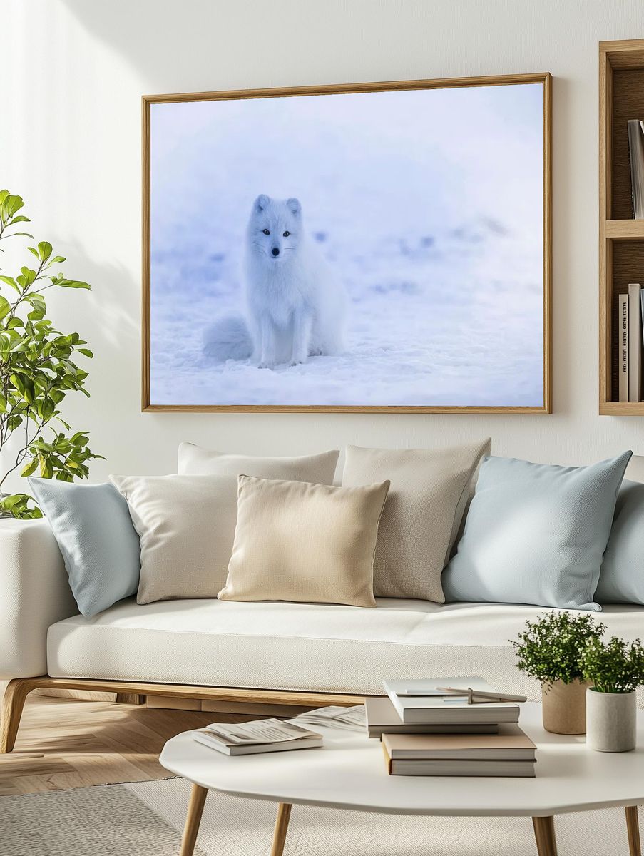 Arctic Fox in Snow — Photography Print. — room view 2