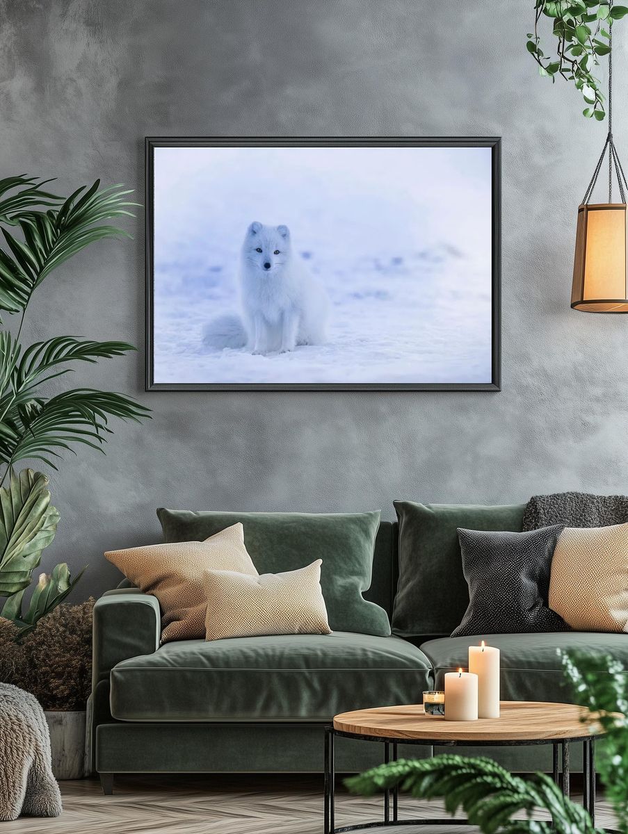 Arctic Fox in Snow — Photography Print. — room view 4
