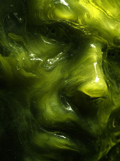 Abstract Green Face Poster. poster