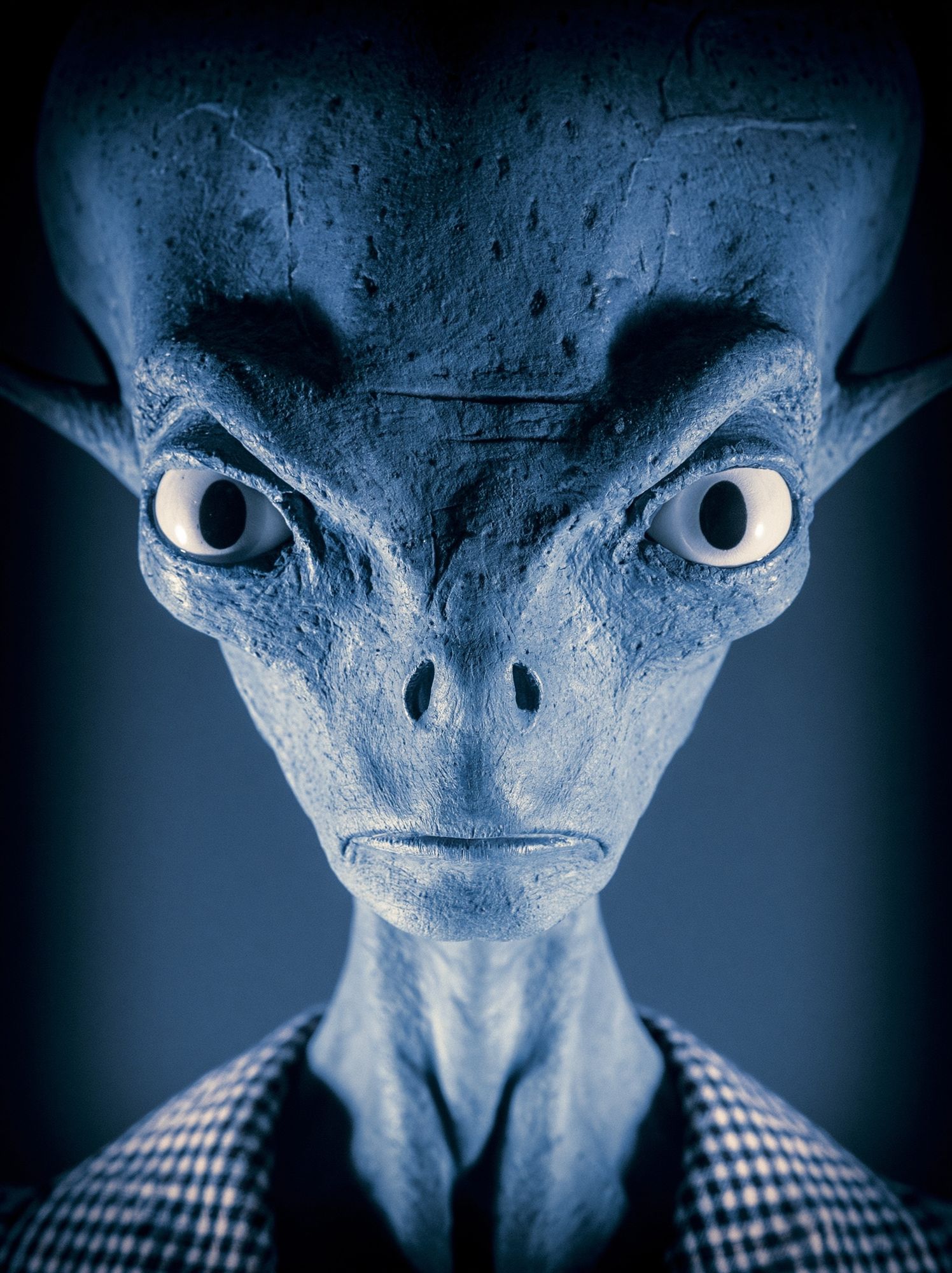 Blue Alien Portrait Poster. poster detail
