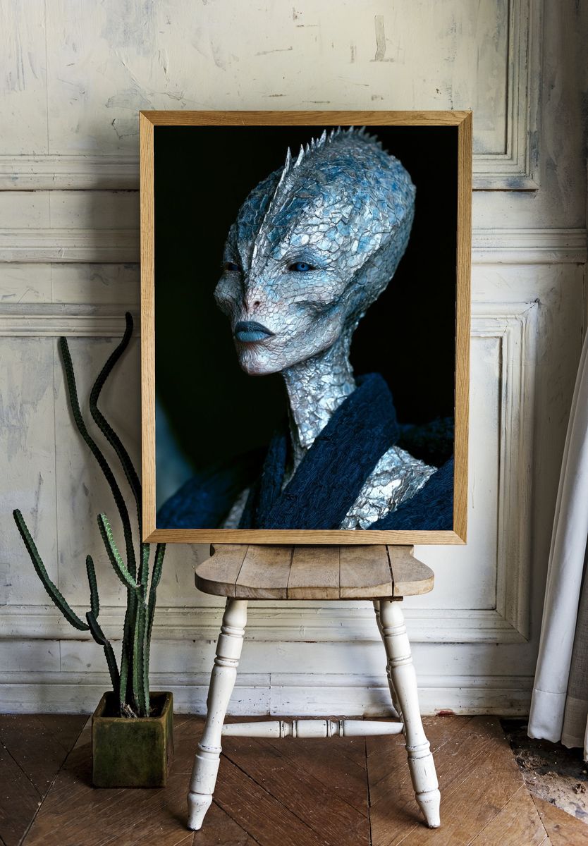 Alien Portrait Photography Poster. room preview