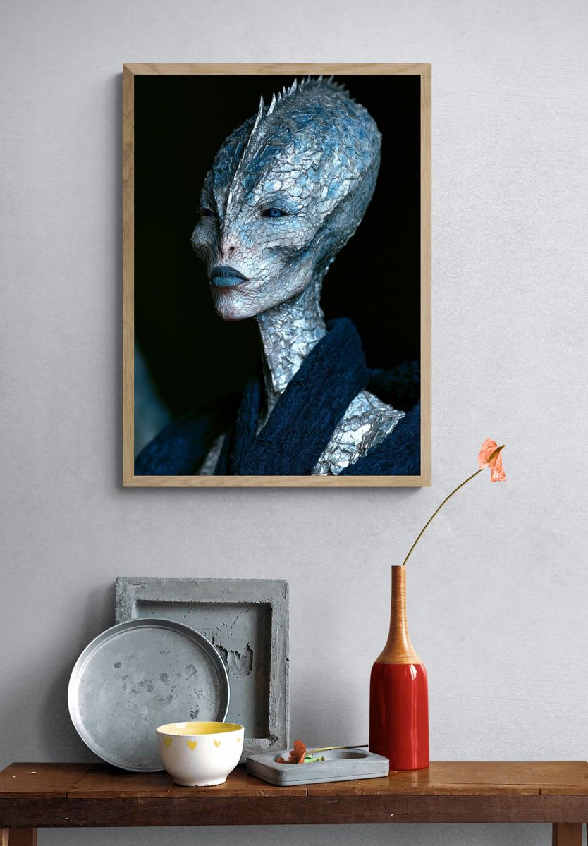 Alien Portrait Photography Poster. — room view 3