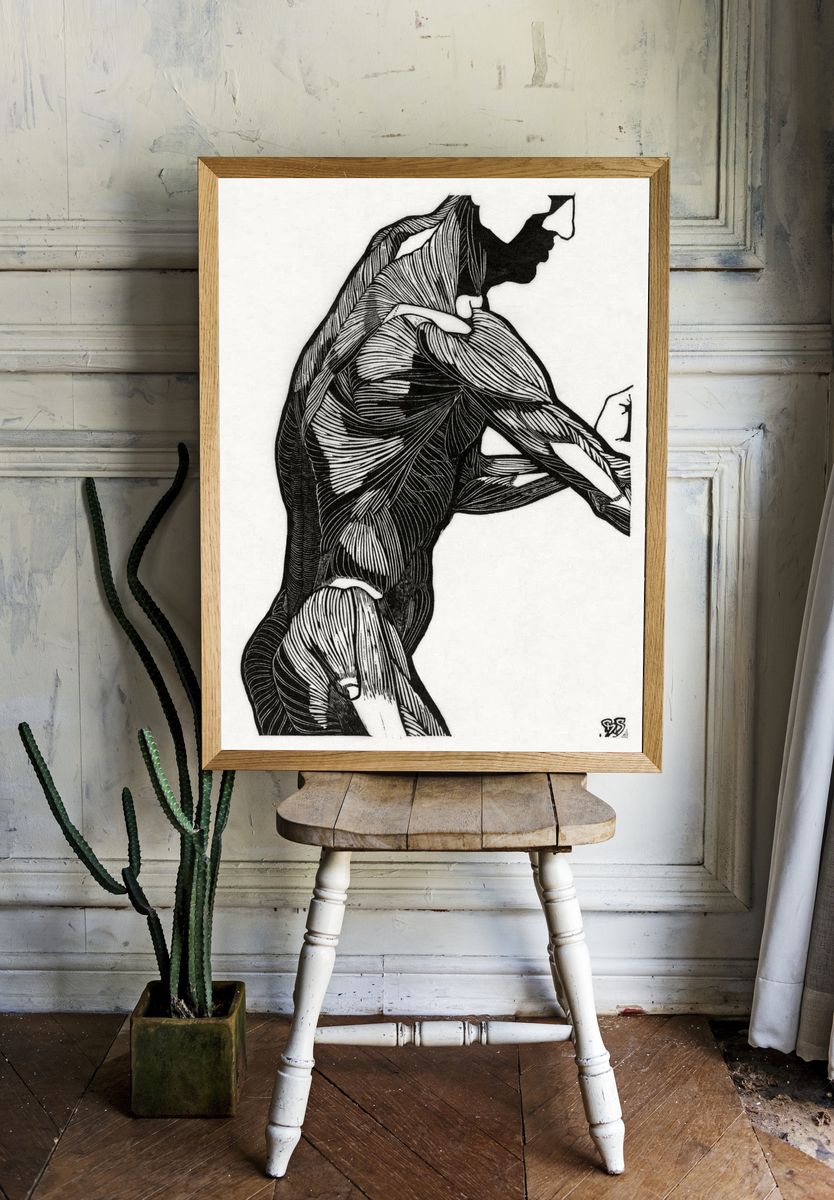 Anatomical study man's lateral arm. — room view 1