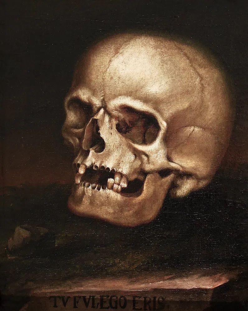 Painting vanitas (1718-1785) Johann Georg. poster — illustration art