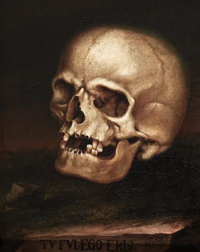 Painting vanitas (1718-1785) Johann Georg. poster print