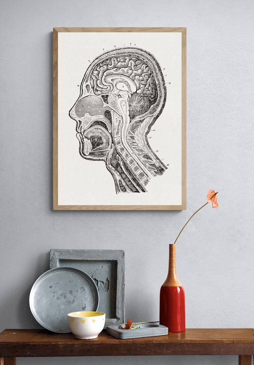 Our home physician- new popular. — room view 3