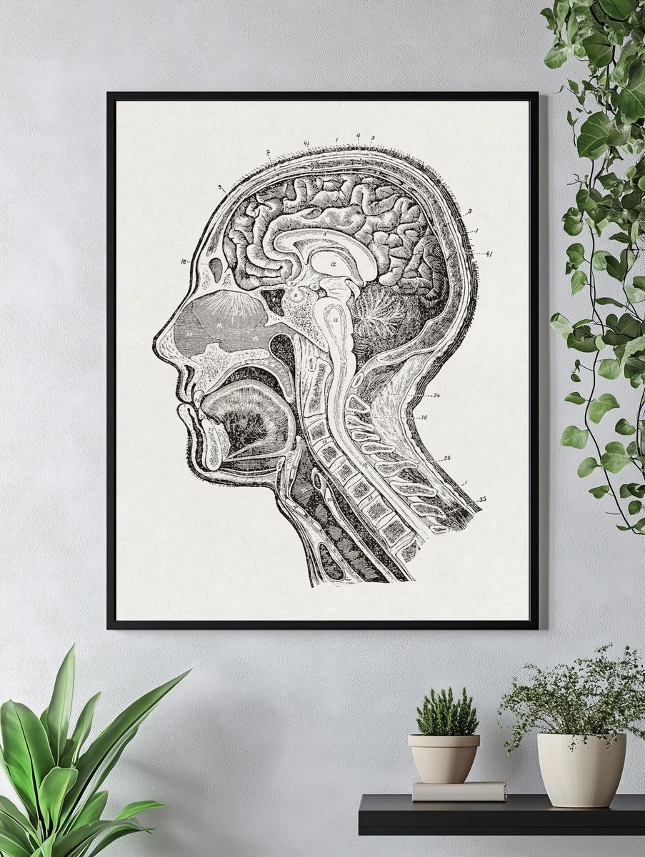 Our home physician- new popular. — room view 4