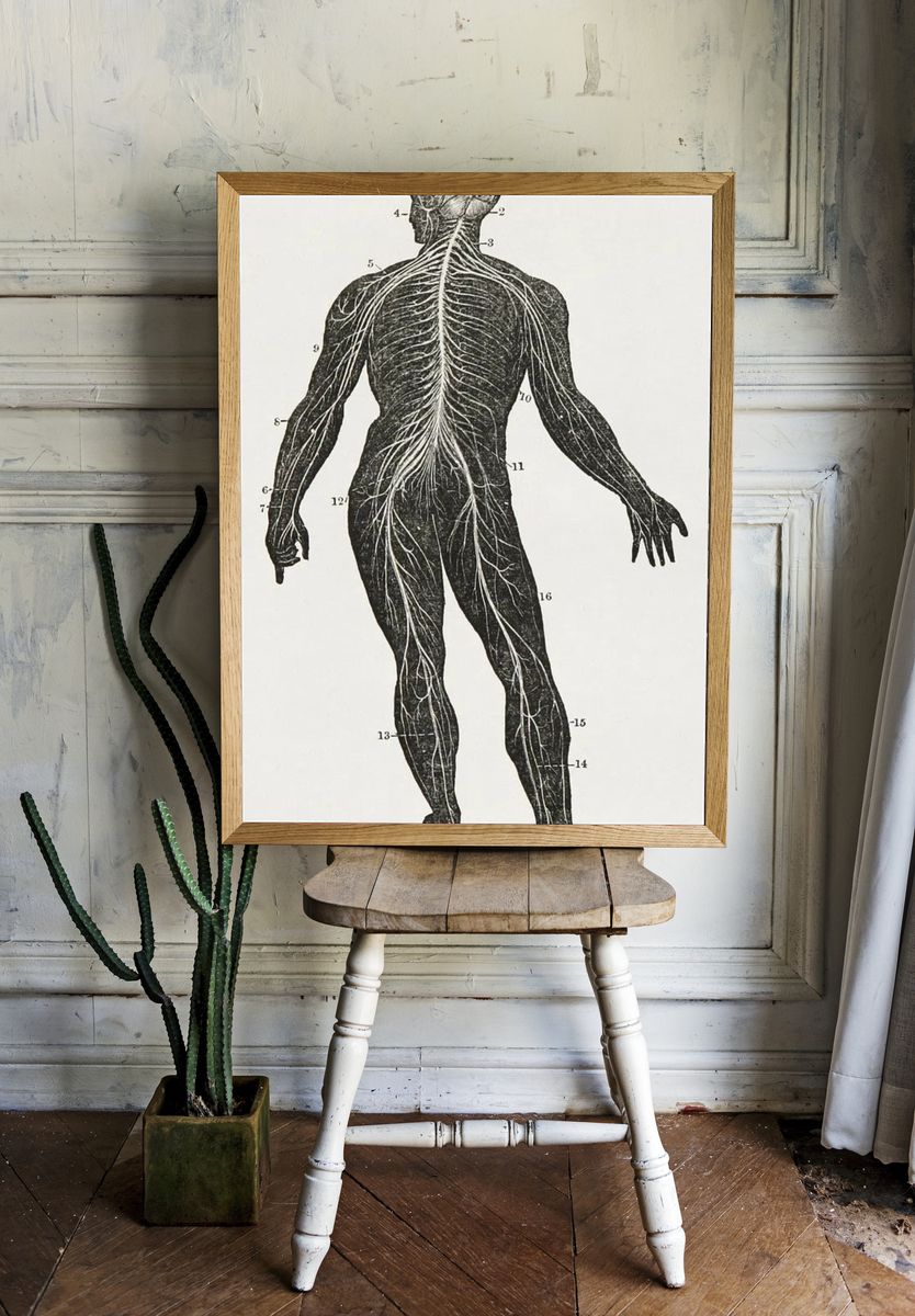 First book anatomy, physiology, hygiene. — room view 1