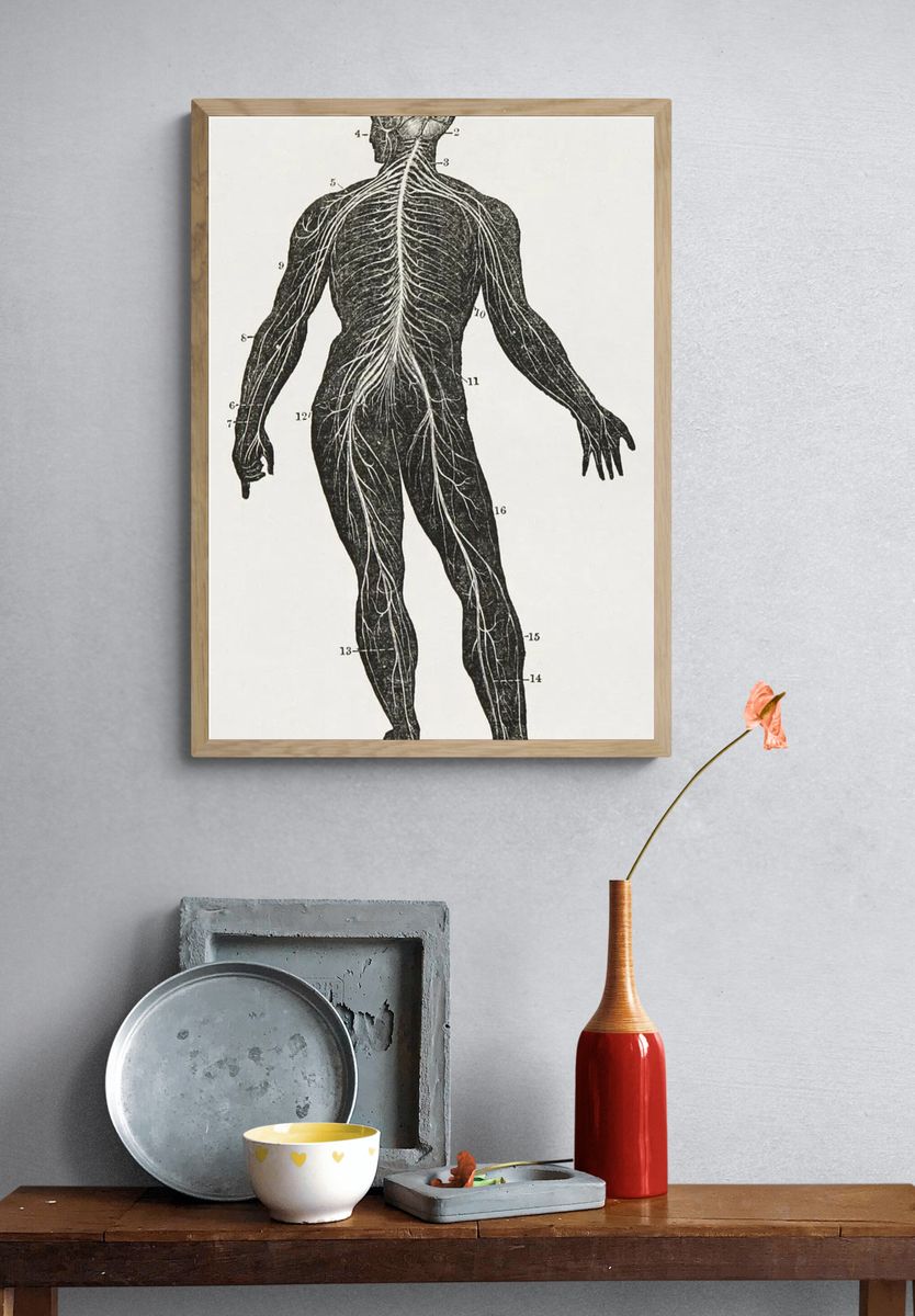 First book anatomy, physiology, hygiene. — room view 3