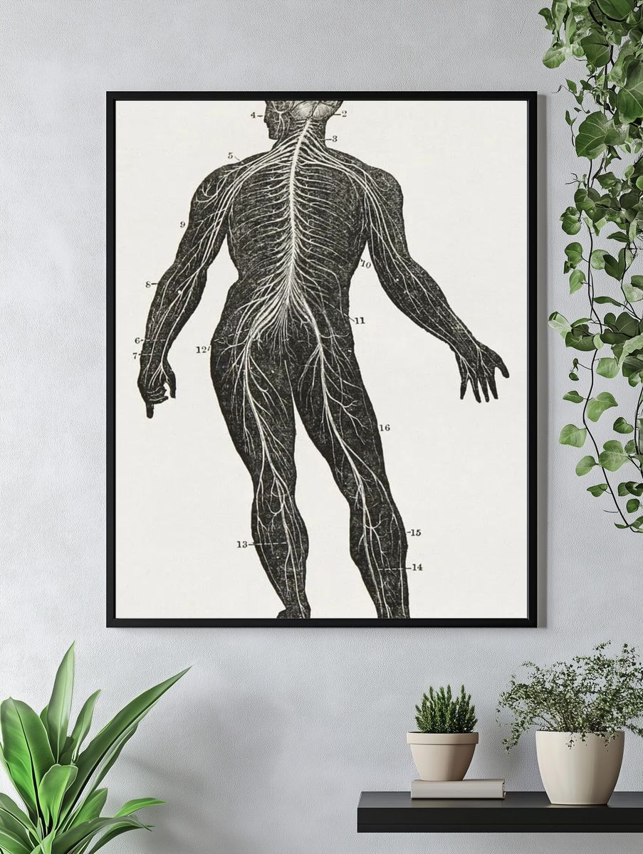 First book anatomy, physiology, hygiene. — room view 4