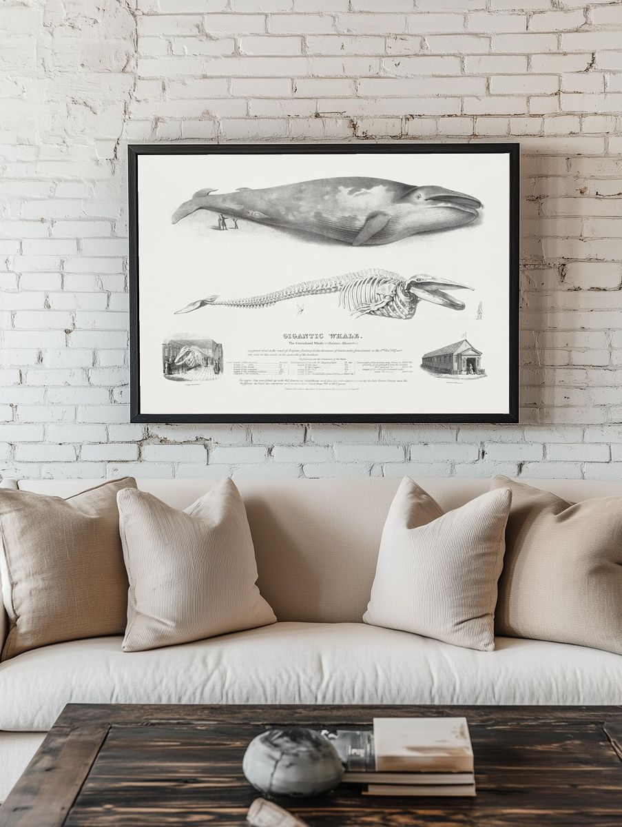 Gigantic Whale: Greenland Whale. — room view 1