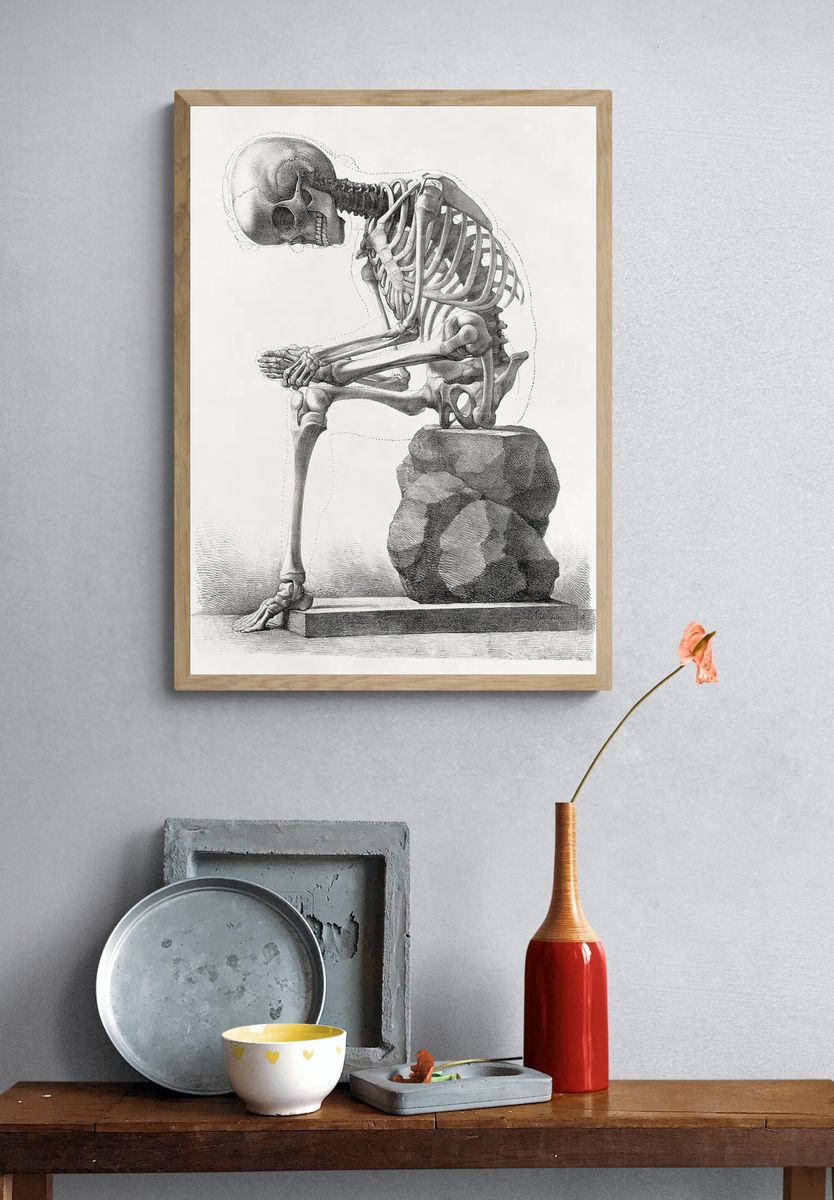 Elementi di anatomia, Elements anatomy. — room view 3