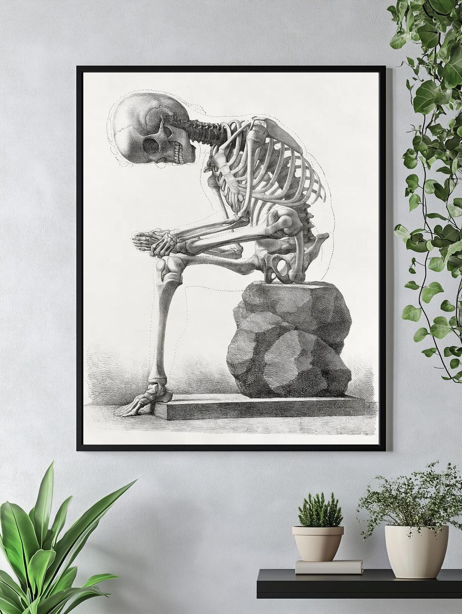 Elementi di anatomia, Elements anatomy. — room view 4
