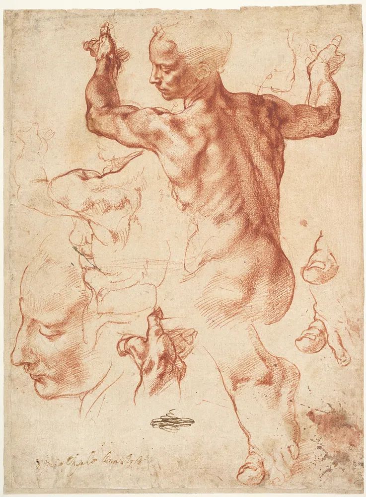 Studies Libyan Sibyl (recto); Studies. poster detail