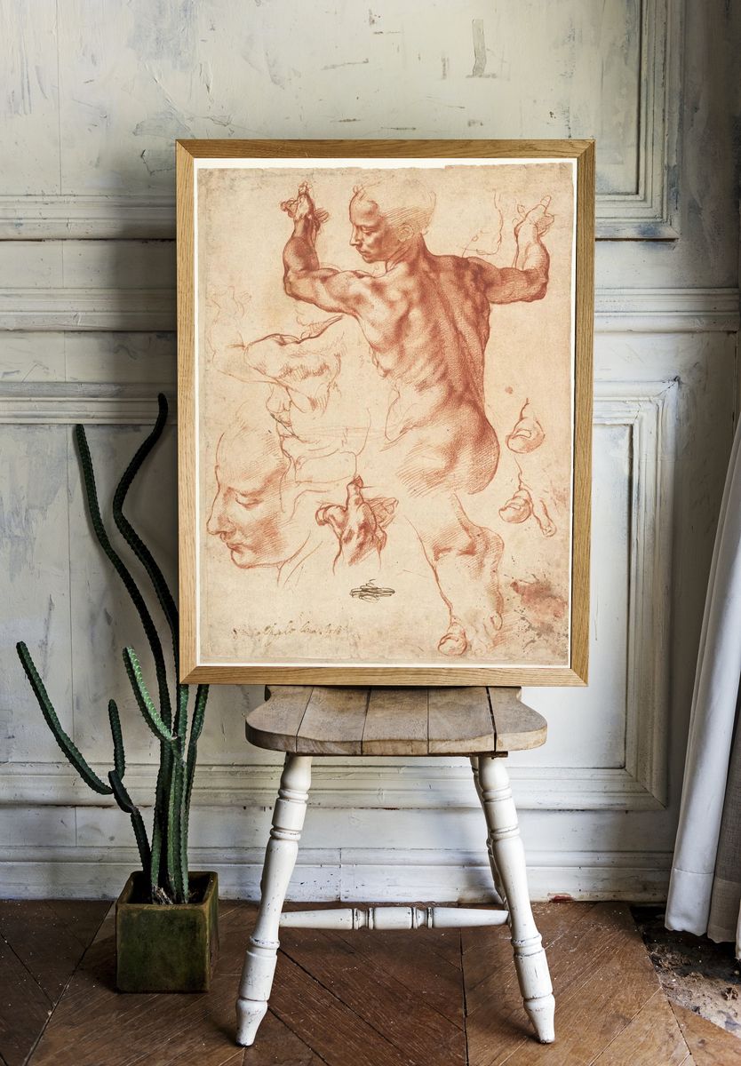 Studies Libyan Sibyl (recto); Studies. — room view 1