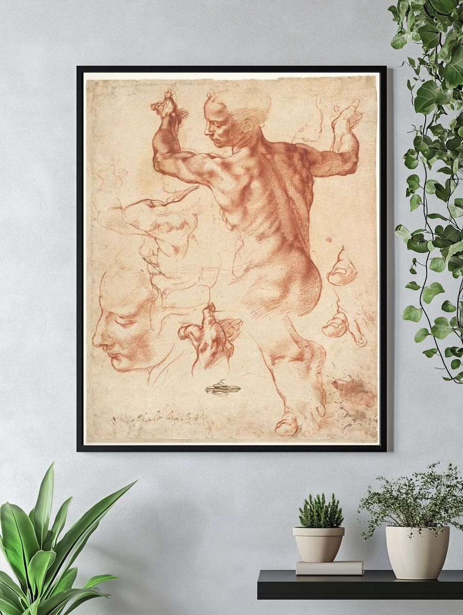 Studies Libyan Sibyl (recto); Studies. — room view 4