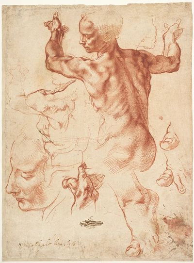 Studies Libyan Sibyl (recto); Studies. poster print
