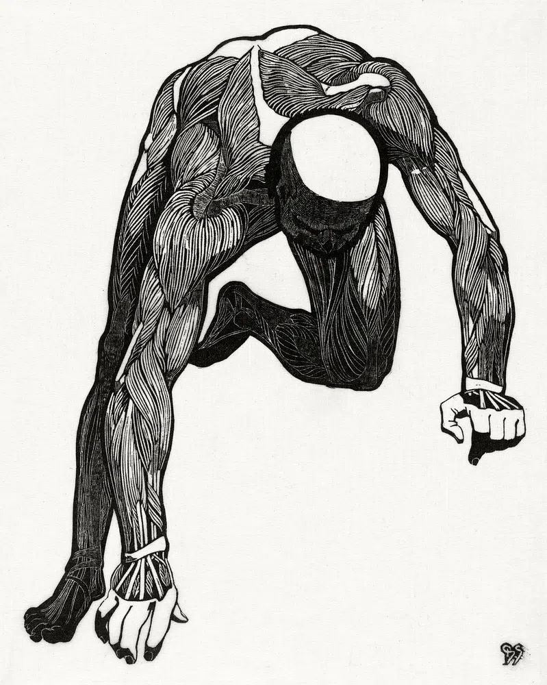 Anatomical study man's neck, arm. poster — illustration art