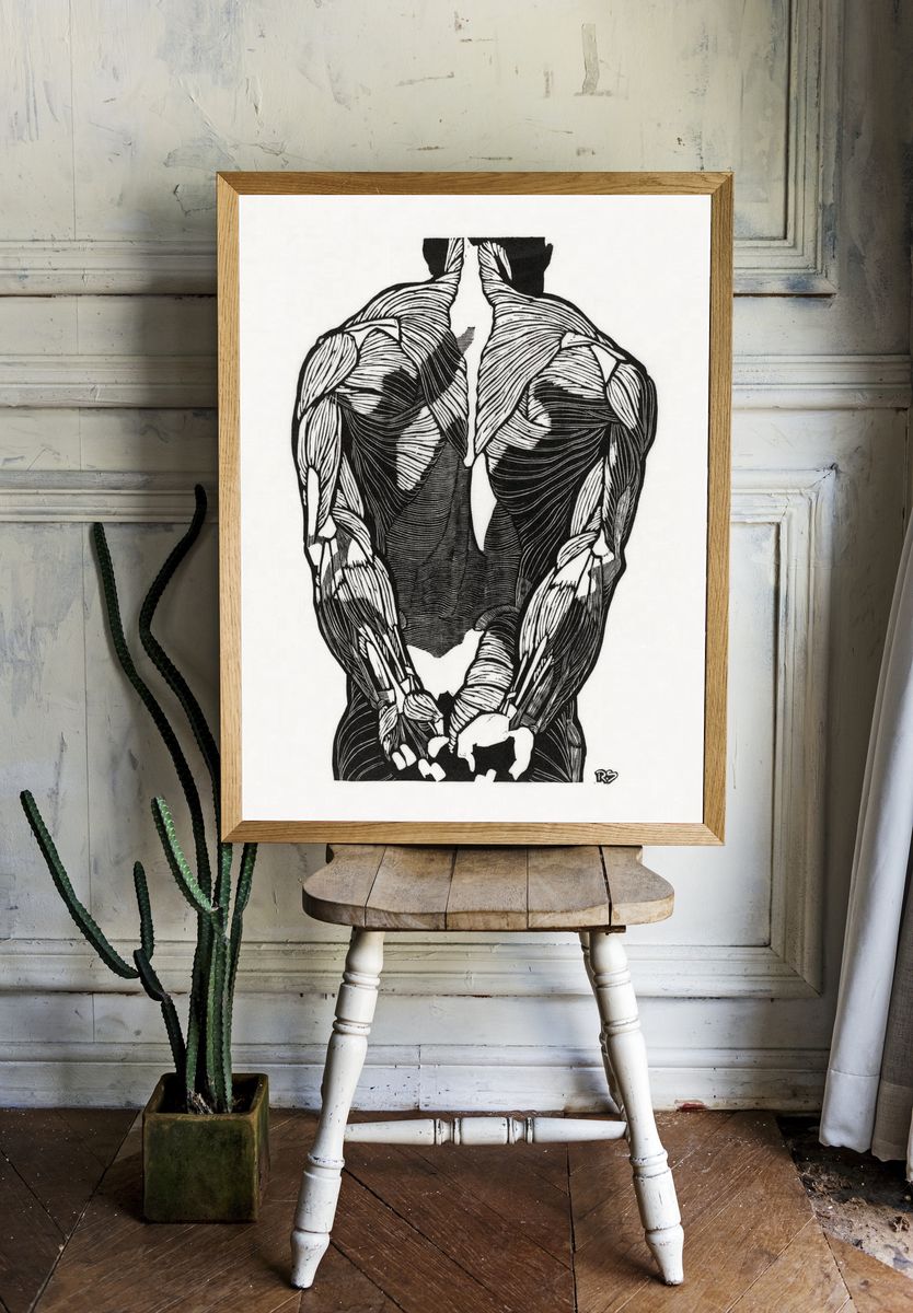 Anatomical study man's back muscles. — room view 1
