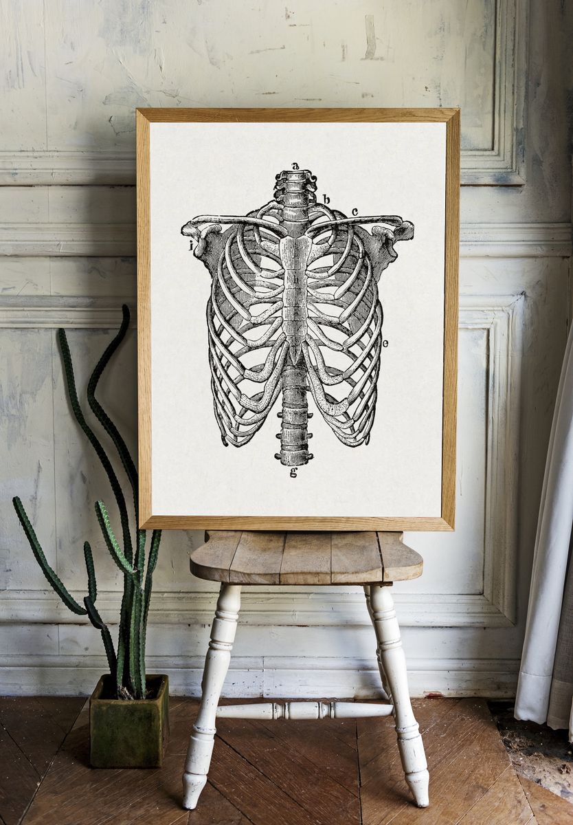 human body. beginner's text-book anatomy. — room view 1