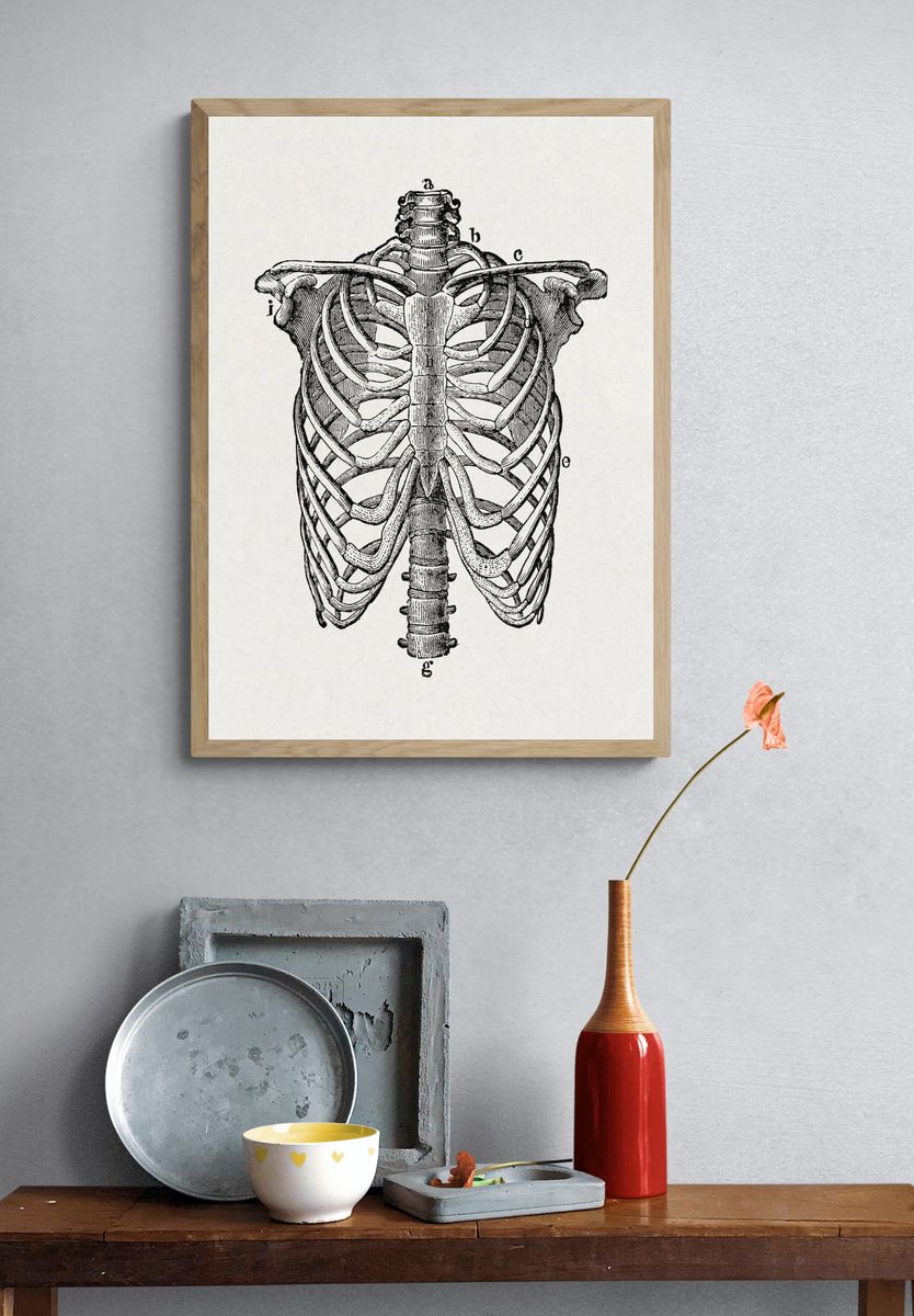 human body. beginner's text-book anatomy. — room view 3