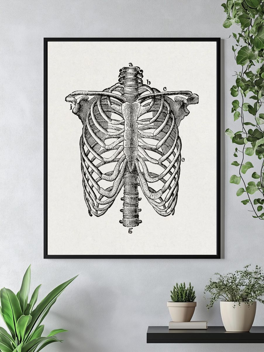 human body. beginner's text-book anatomy. — room view 4