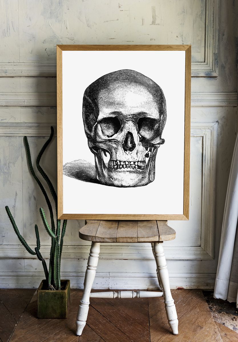 Vintage European style skull engraving. — room view 1