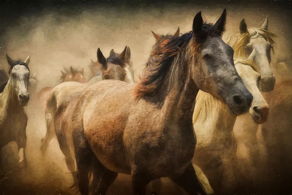 Free herd horses digital art. poster — animals art