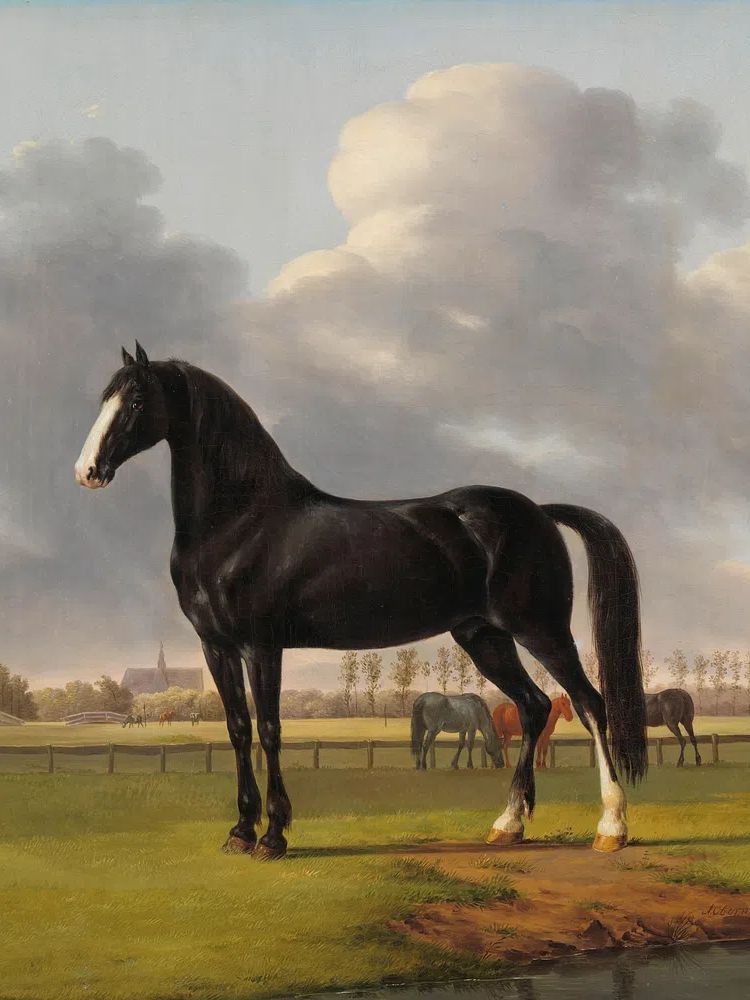 Adriaan van der Hoop’s Trotter. poster detail