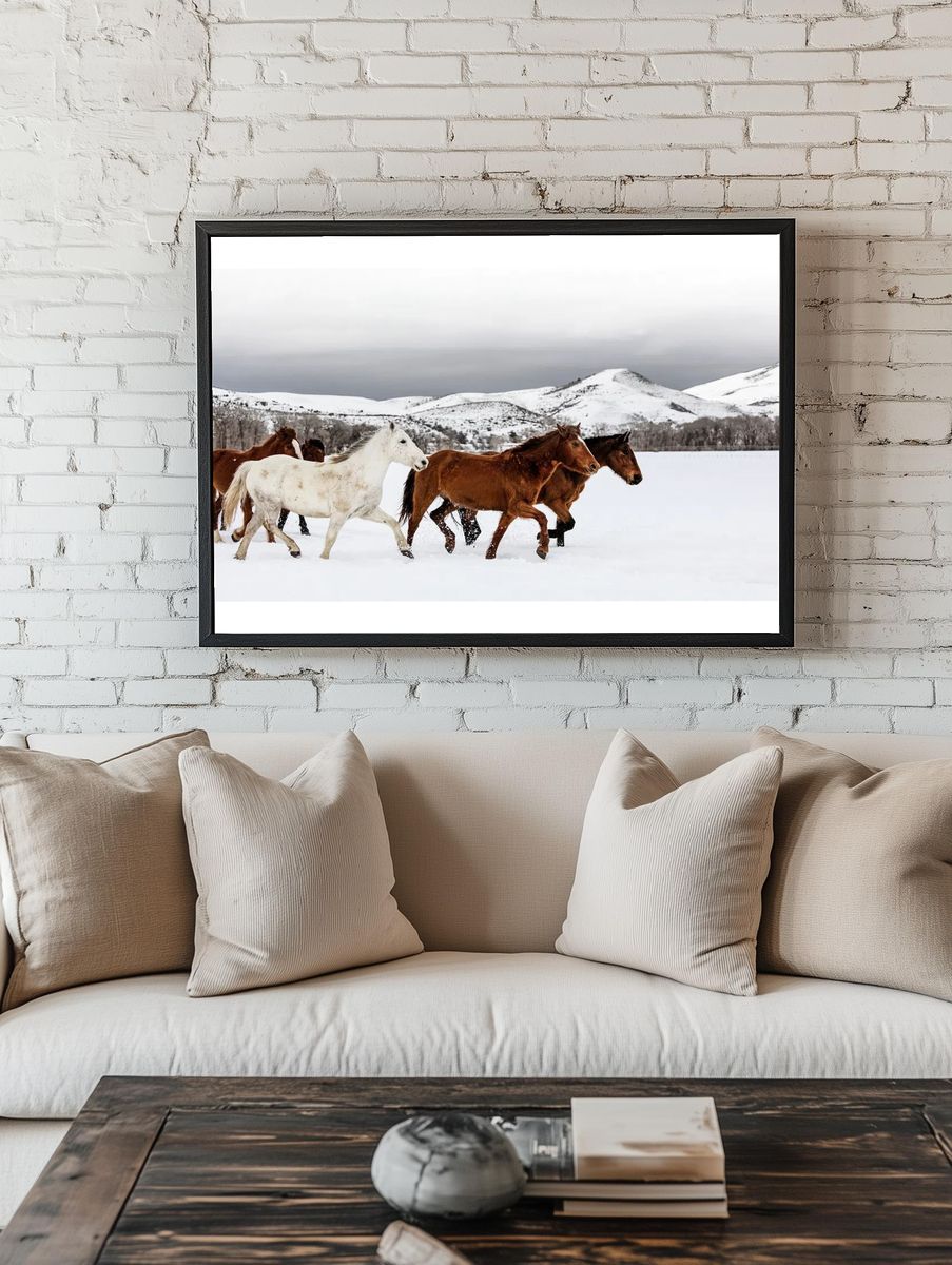 mixed herd wild domesticated horses. — room view 1