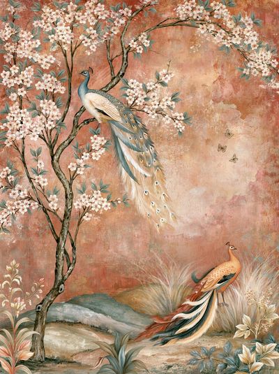 Peacock Blossom Garden Print. poster