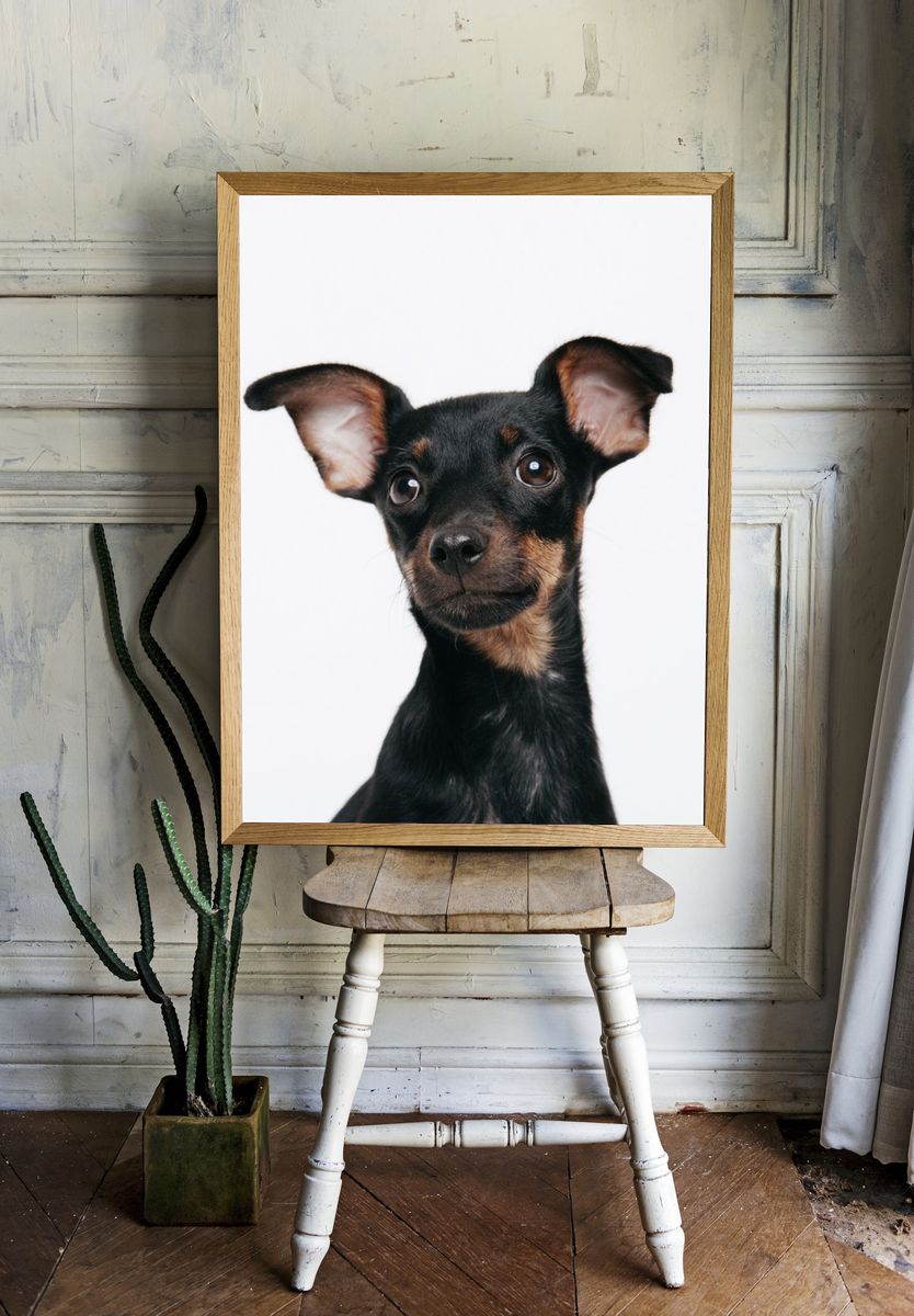 Curious Puppy Portrait Print. — room view 1