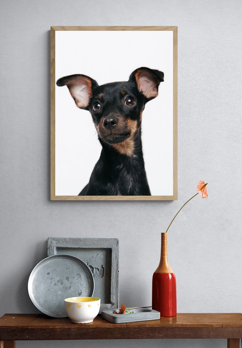 Curious Puppy Portrait Print. — room view 3