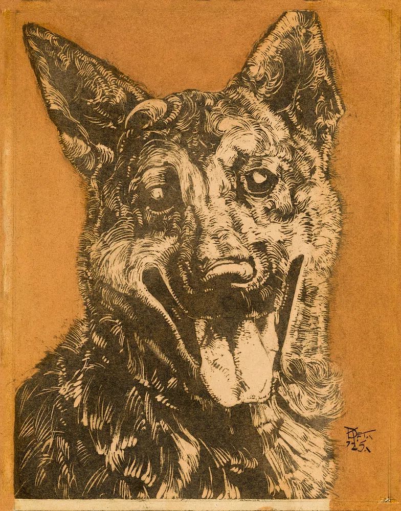 Cees, portret van een hond. poster detail