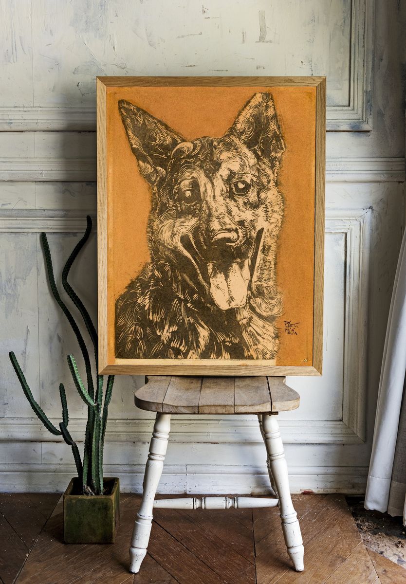 Cees, portret van een hond. — room view 1
