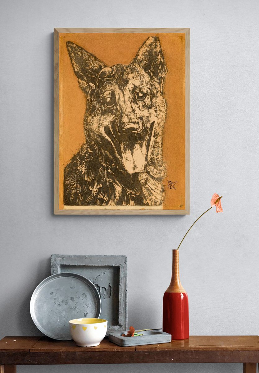 Cees, portret van een hond. — room view 3