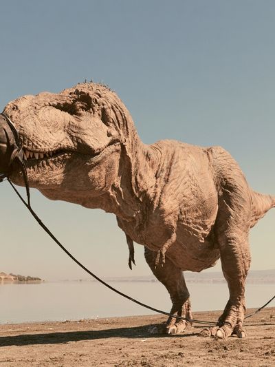 Tethered T-Rex Desert Photography Poster.