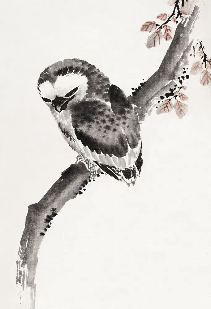 Katsushika Hokusai’s Japanese owl, Album. poster — animals art
